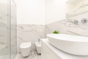 Shower, hair dryer, bidet, towels