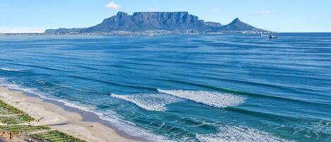 Appartement (2 Bedrooms) | Interieur