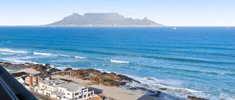 アパートメント (3 Bedrooms) | 内装