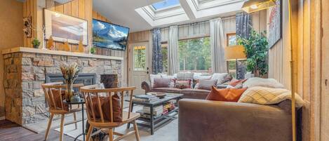 TV, fireplace, video games, books