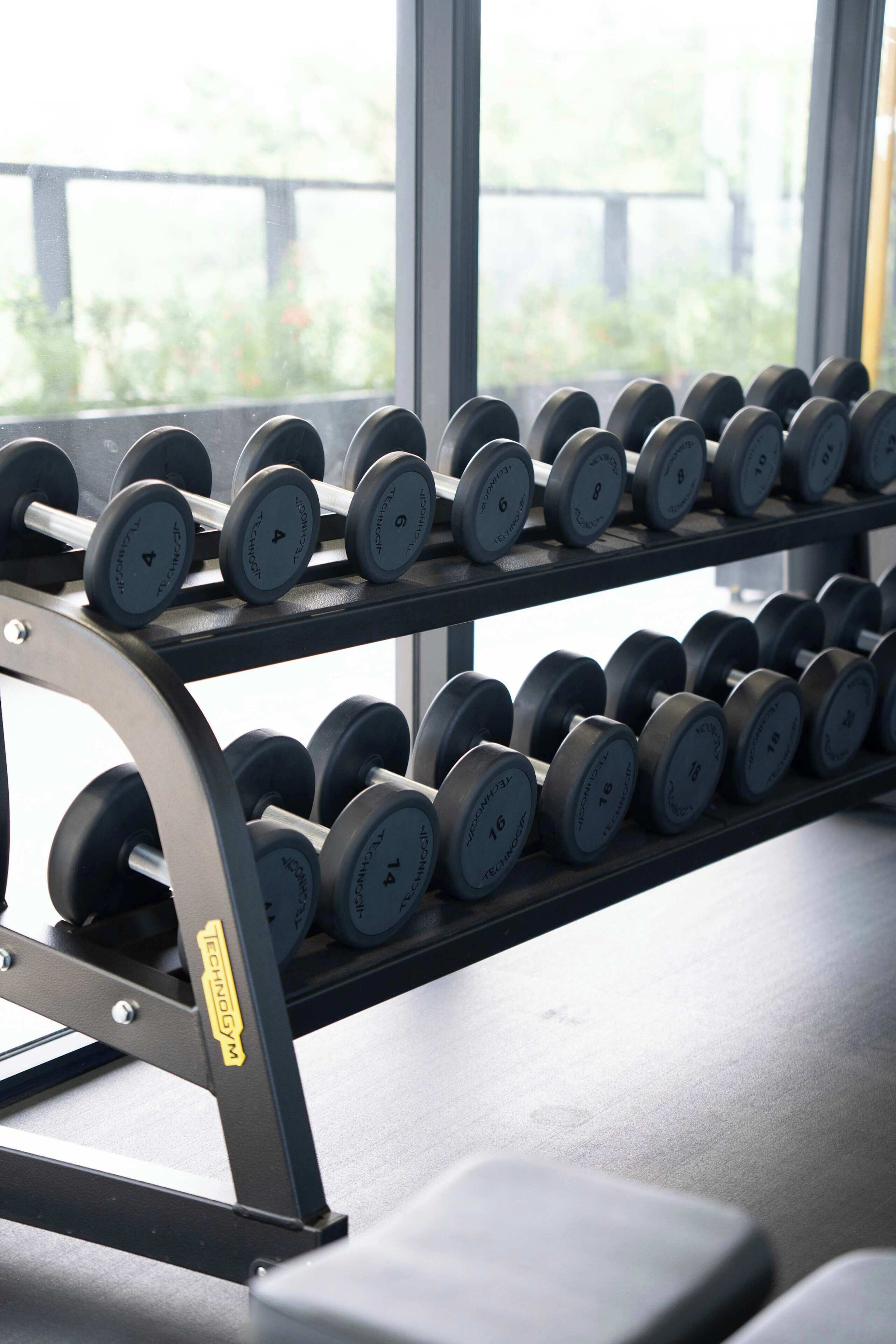 A rack of dumbbells with weights ranging from 4 to 16 lbs.