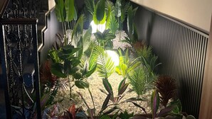 Un jardin intérieur moderne, avec différentes plantes et un bac à fleurs en bois.