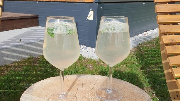Deux verres contenant une boisson claire, décorée de feuilles de menthe, posés sur un tronc d’arbre à l’extérieur.