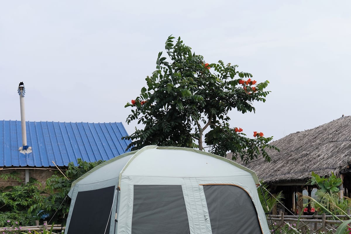 A tent in a grassy area with a tree and a building with a blue roof in the background.