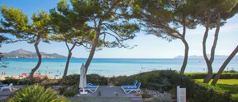 المنطقة المحيطة بالمنشأة