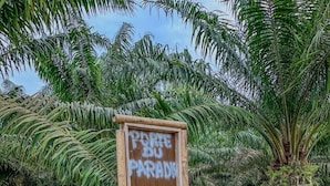 A wooden sign with "PARKING" written on it, surrounded by greenery and palm trees.