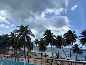 A beach with palm trees, umbrellas, and people.