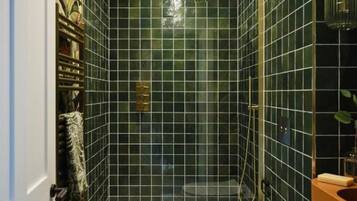 Douche, sĂšche-cheveux, serviettes fournies, papier toilette