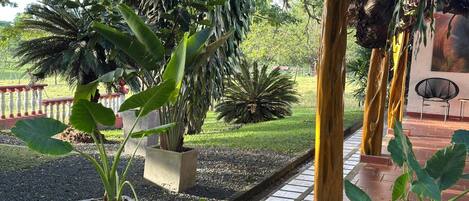 Àrea exterior de l'allotjament