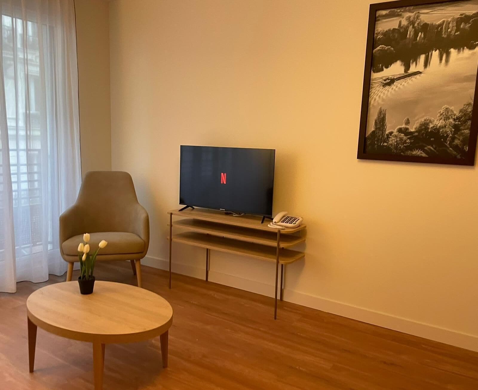 A living room with a TV on a wooden stand, a chair, a small table with a plant, and a painting on the wall.