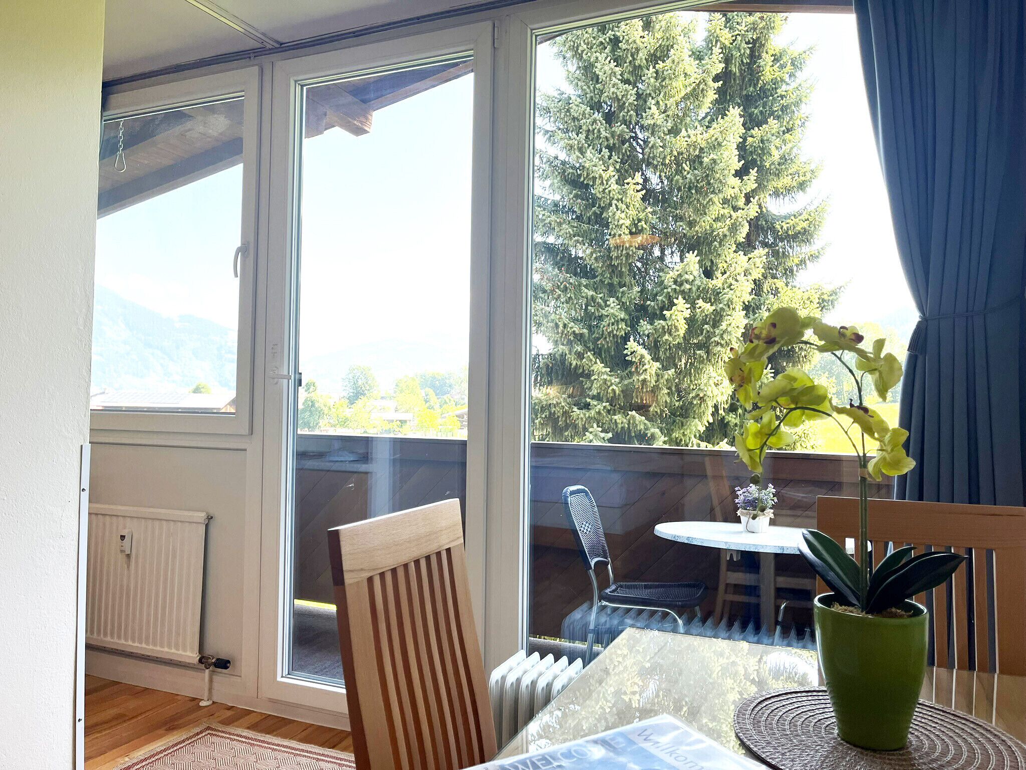 Ein Zimmer mit Tisch, Stühlen, einer Topfpflanze und Blick auf einen Baum durch ein Fenster.