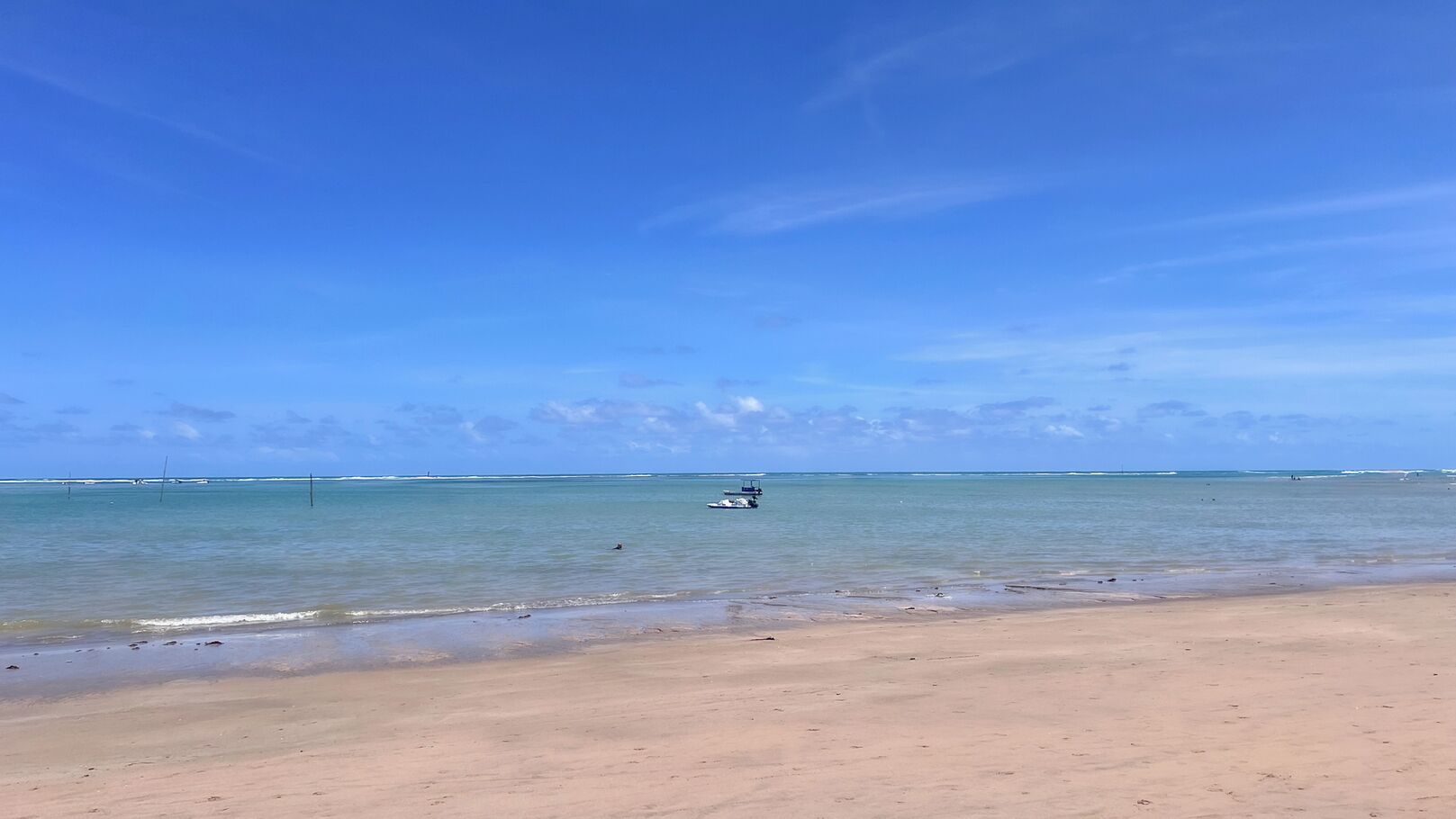 Apartment | 2 Schlafzimmer