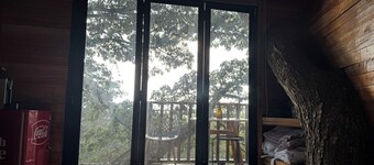 Cabaña en un árbol en Santa Elena