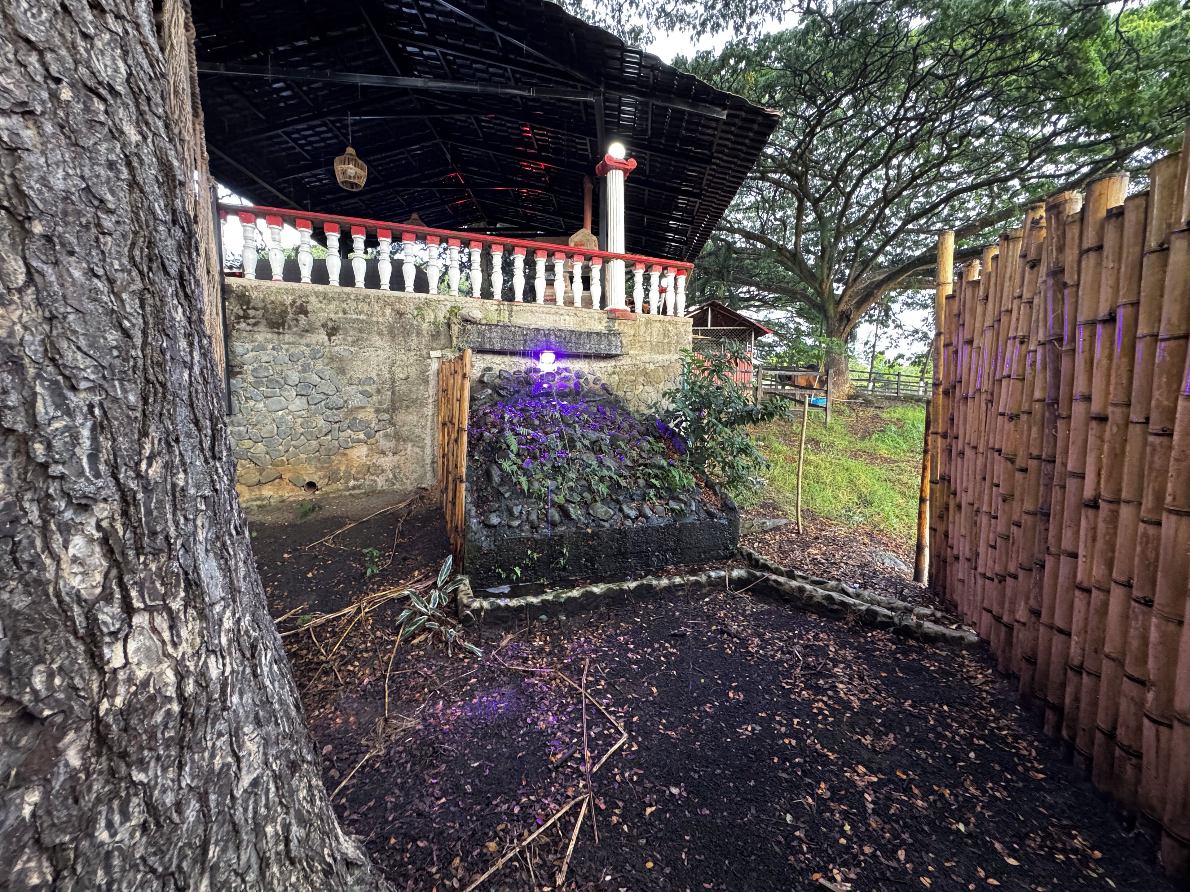 Terrein van de accommodatie