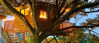 Cabaña en un árbol en Santa Elena