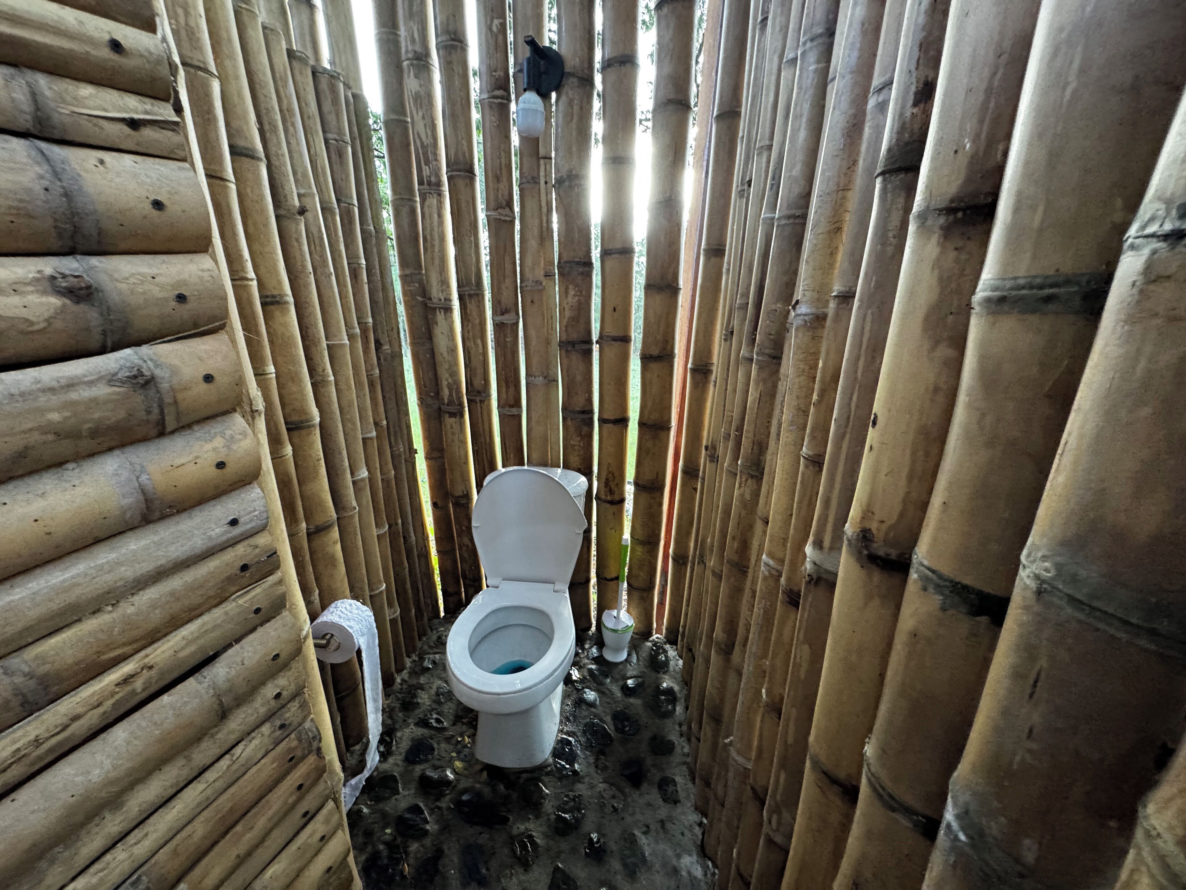 Serviettes fournies, savon, papier toilette