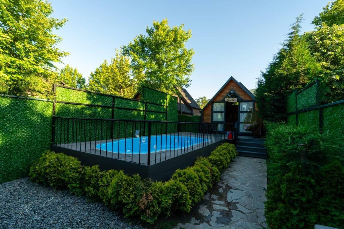 A swimming pool surrounded by a black metal fence, a stone pathway, and a small wooden building labeled "SUMMER".