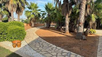 المنطقة المحيطة بالمنشأة