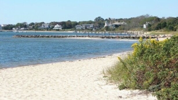 Une plage avec un rivage sablonneux, une jetée qui s’avance dans l’eau et des maisons en arrière-plan.