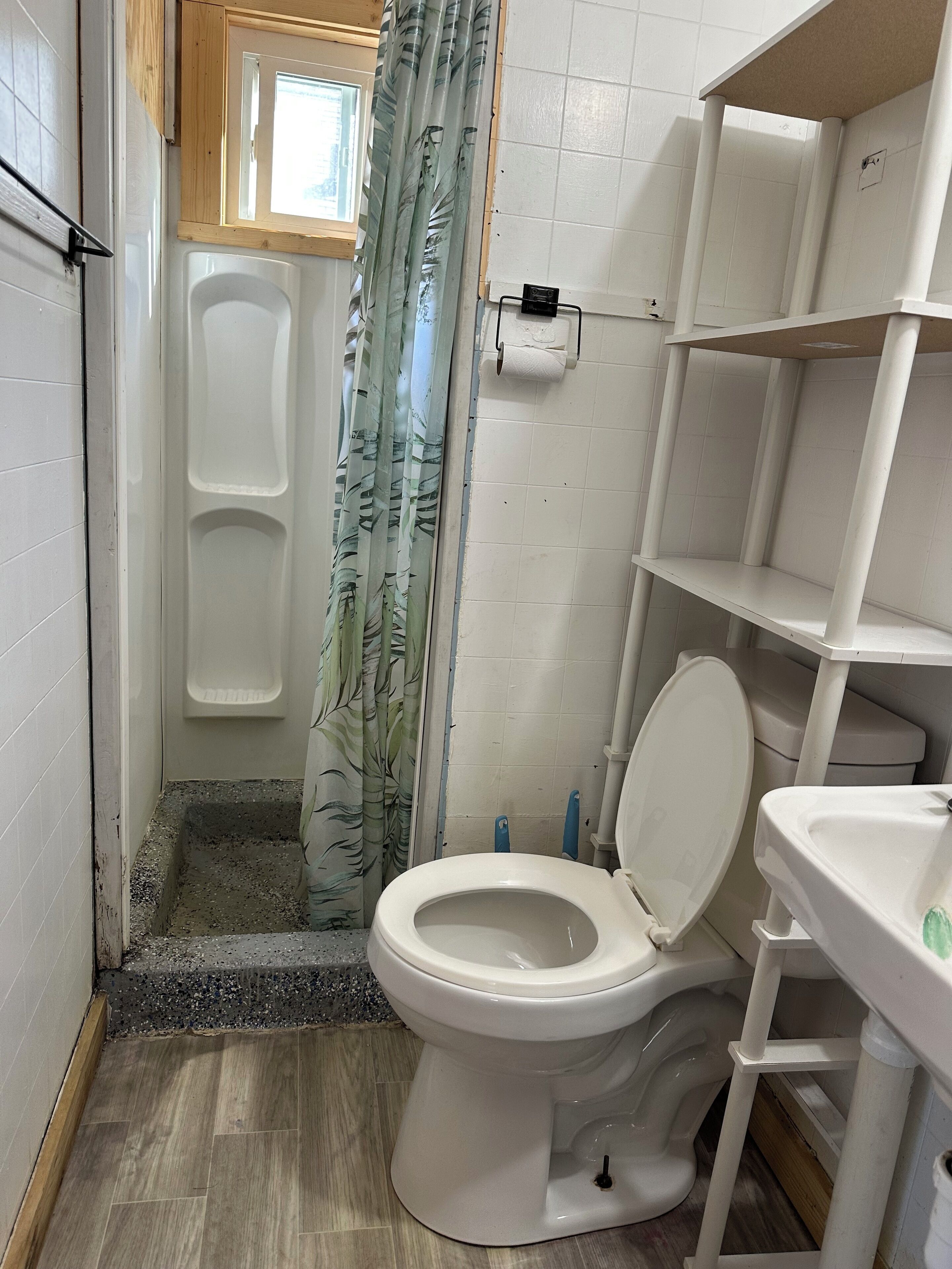 Shower, towels, toilet paper