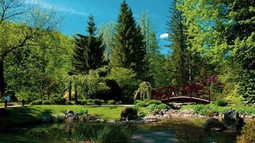 Khuôn viên nơi lưu trú