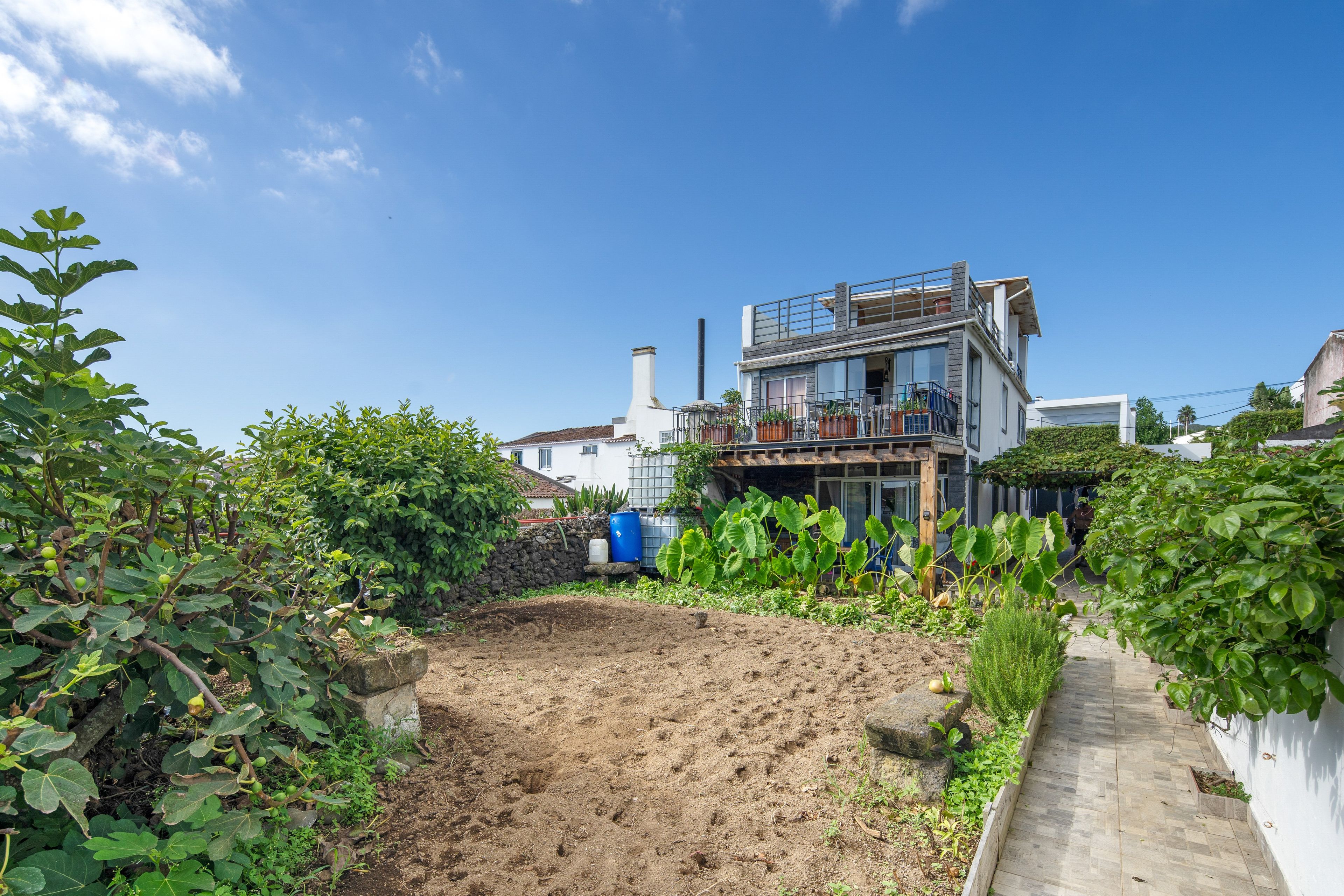 A modern two-story house with a balcony, surrounded by a garden with fig trees and a paved pathway.
