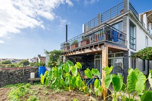 Uma casa moderna de dois andares com varanda, muro de pedra e jardim com plantas folhosas.