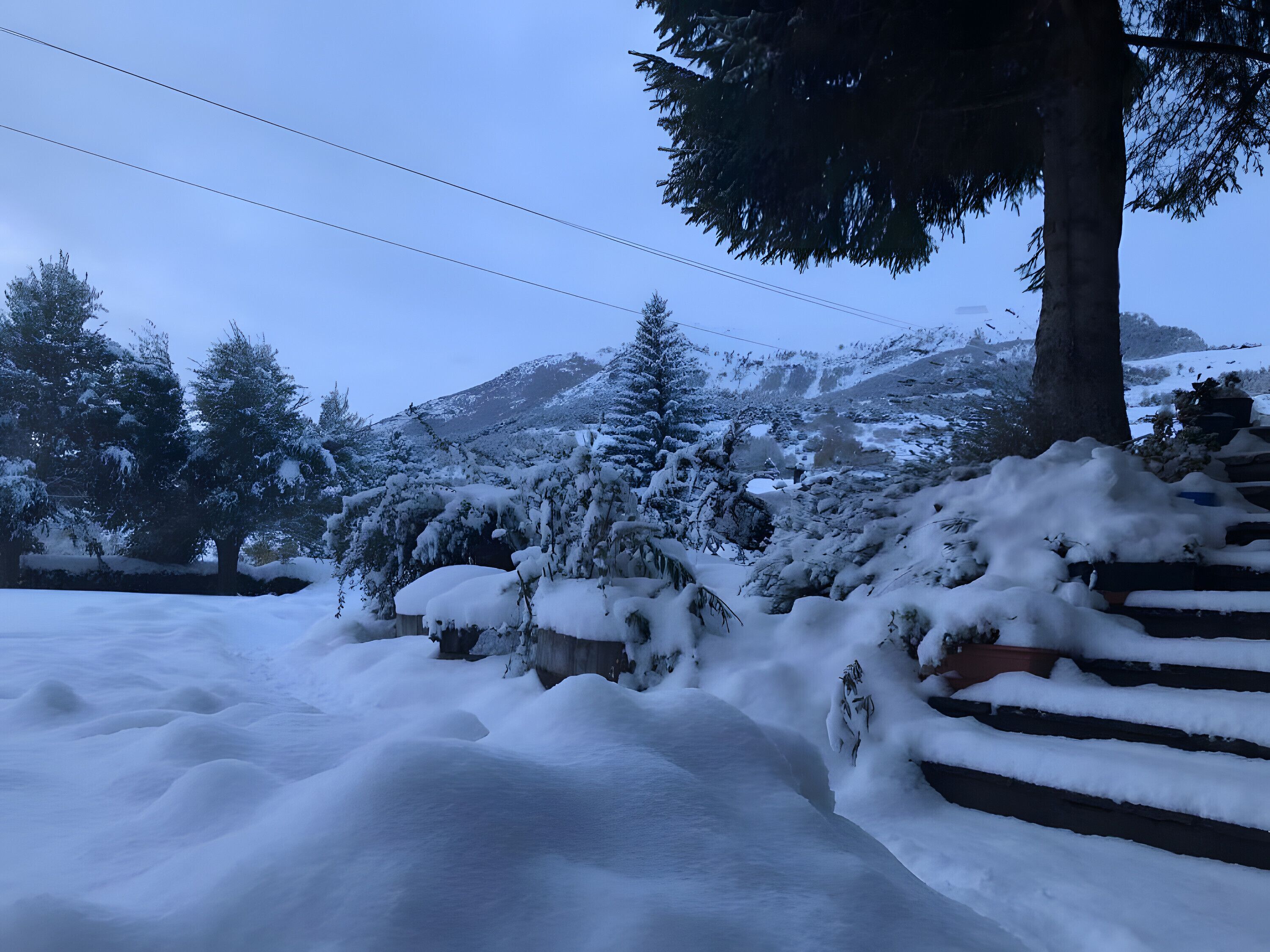 Overnattingsstedets uteområder