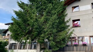 A two-story building with a balcony, a large evergreen tree in front, and a garden with various plants. - Becca D'Aver Apartment with Mountain View, Shared Garden, and Wi-Fi (Semon)