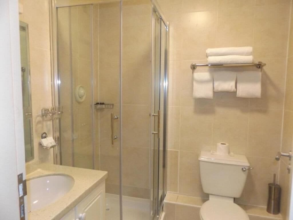 Deluxe Double or Twin Room | Bathroom | Shower, free toiletries, towels