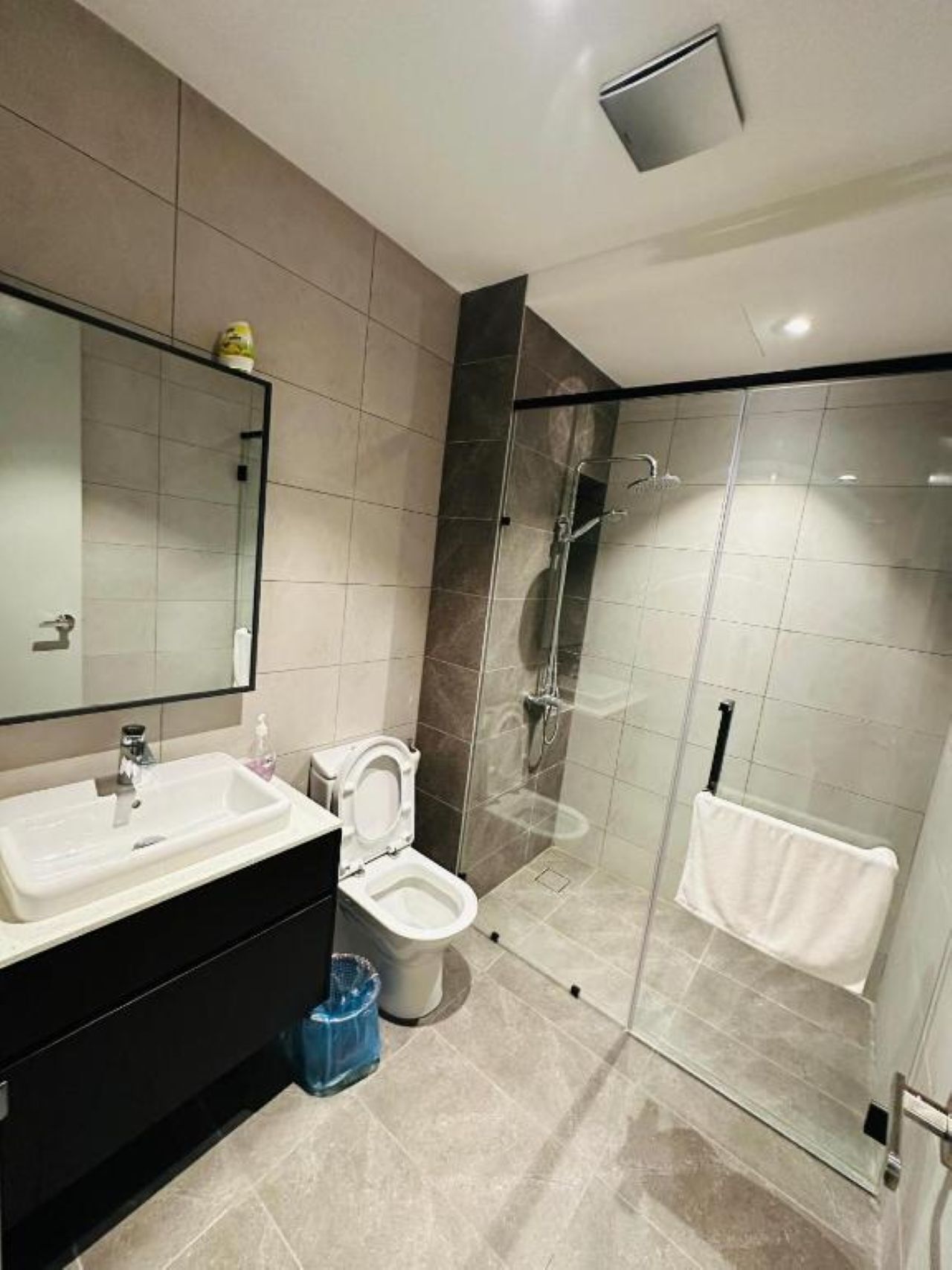 Hair dryer, towels, shampoo, toilet paper