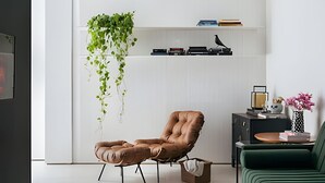 Ein modernes Wohnzimmer mit Ledersessel, grünem Sofa, Bücherregal und einer hängenden Pflanze.