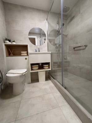 Shower, hair dryer, bidet, towels