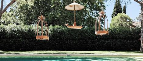Seasonal outdoor pool, pool umbrellas, sun loungers