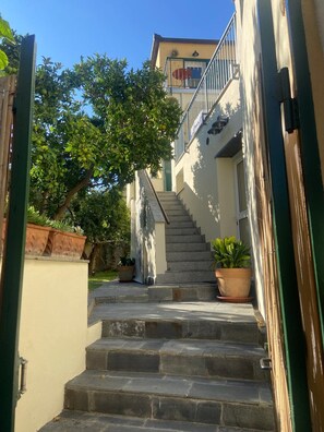 Terrain de l’hébergement 