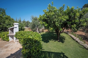 A well-maintained garden with a stone bench, a neatly trimmed hedge, and a variety of trees.