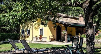 Villa Woodland Garden - Irpinia