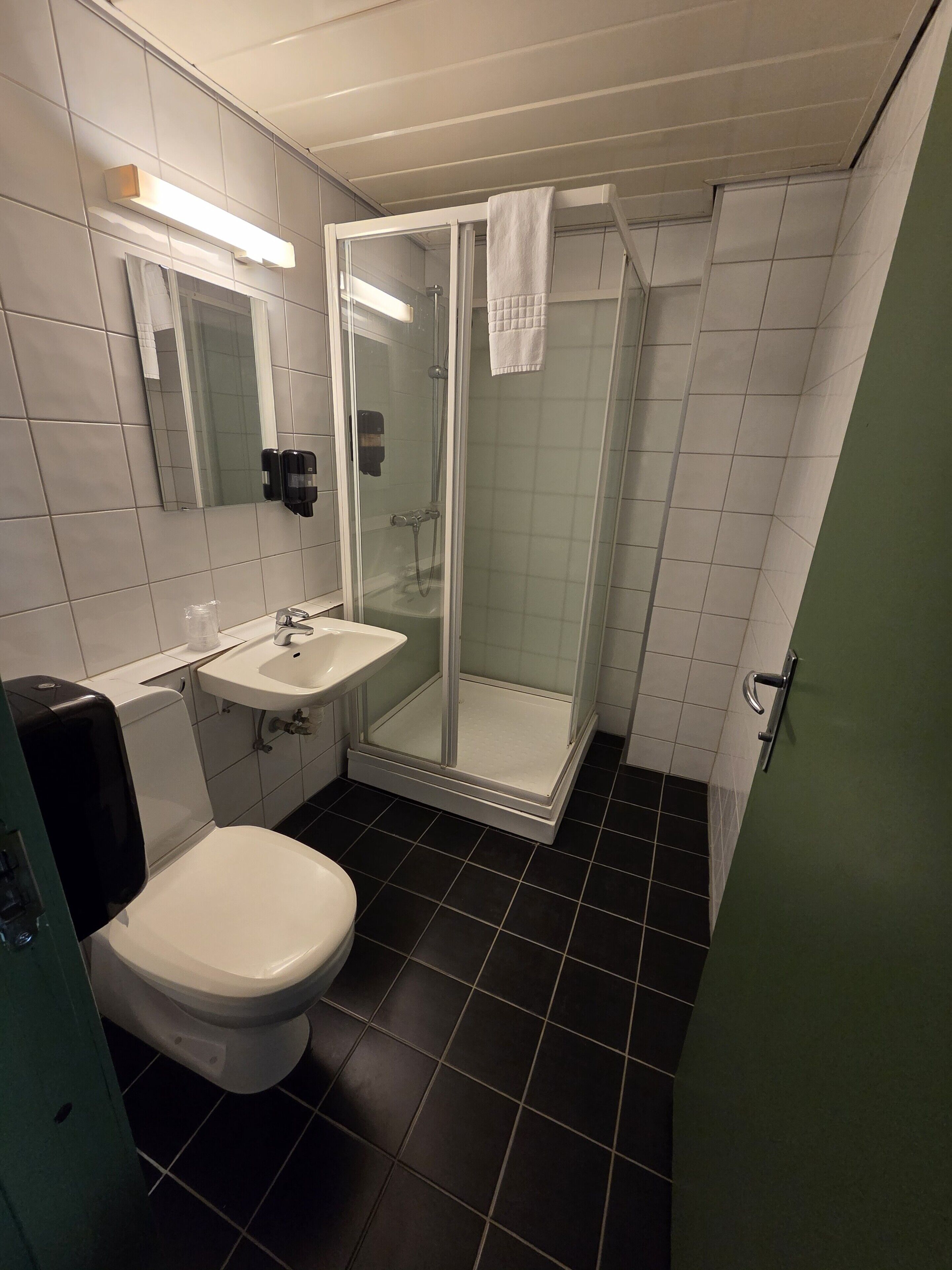 A bathroom with a toilet, sink, and glass-enclosed shower.