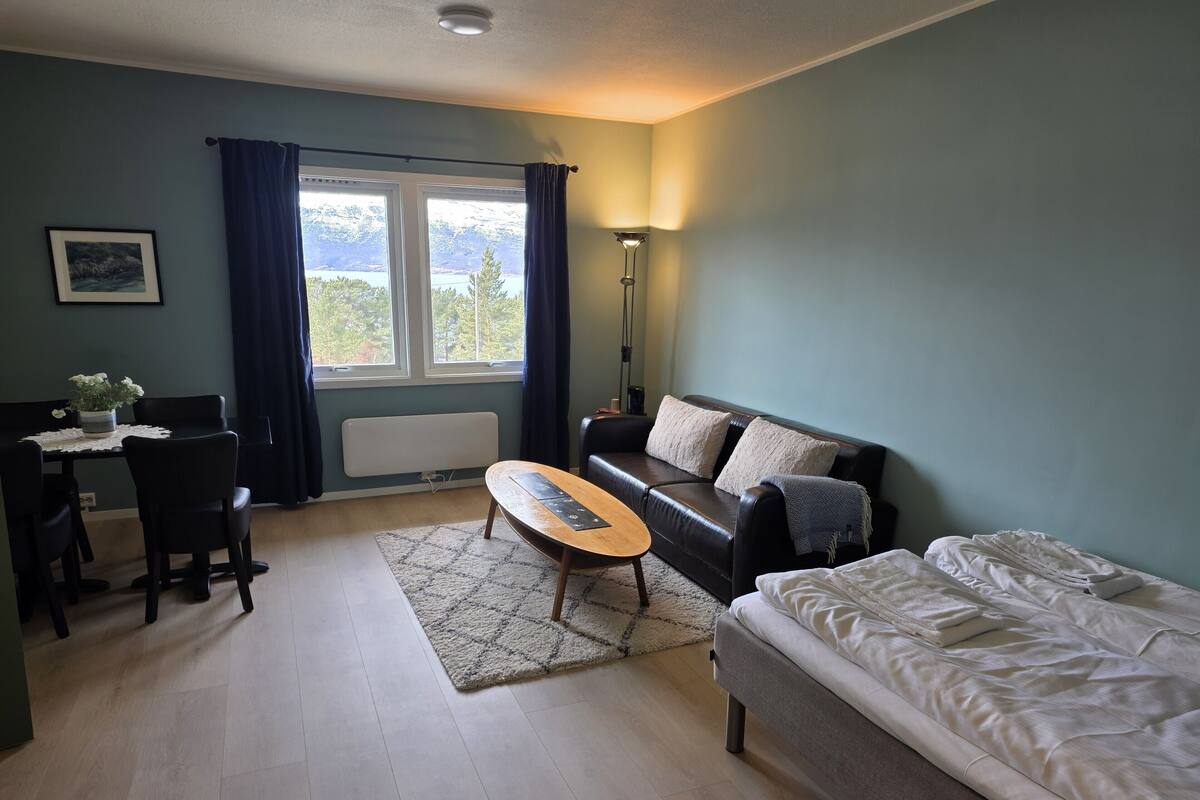 Une pièce comprenant un lit, un canapé, une table, une chaise, un radiateur, une fenêtre avec des rideaux et un tableau accroché au mur.