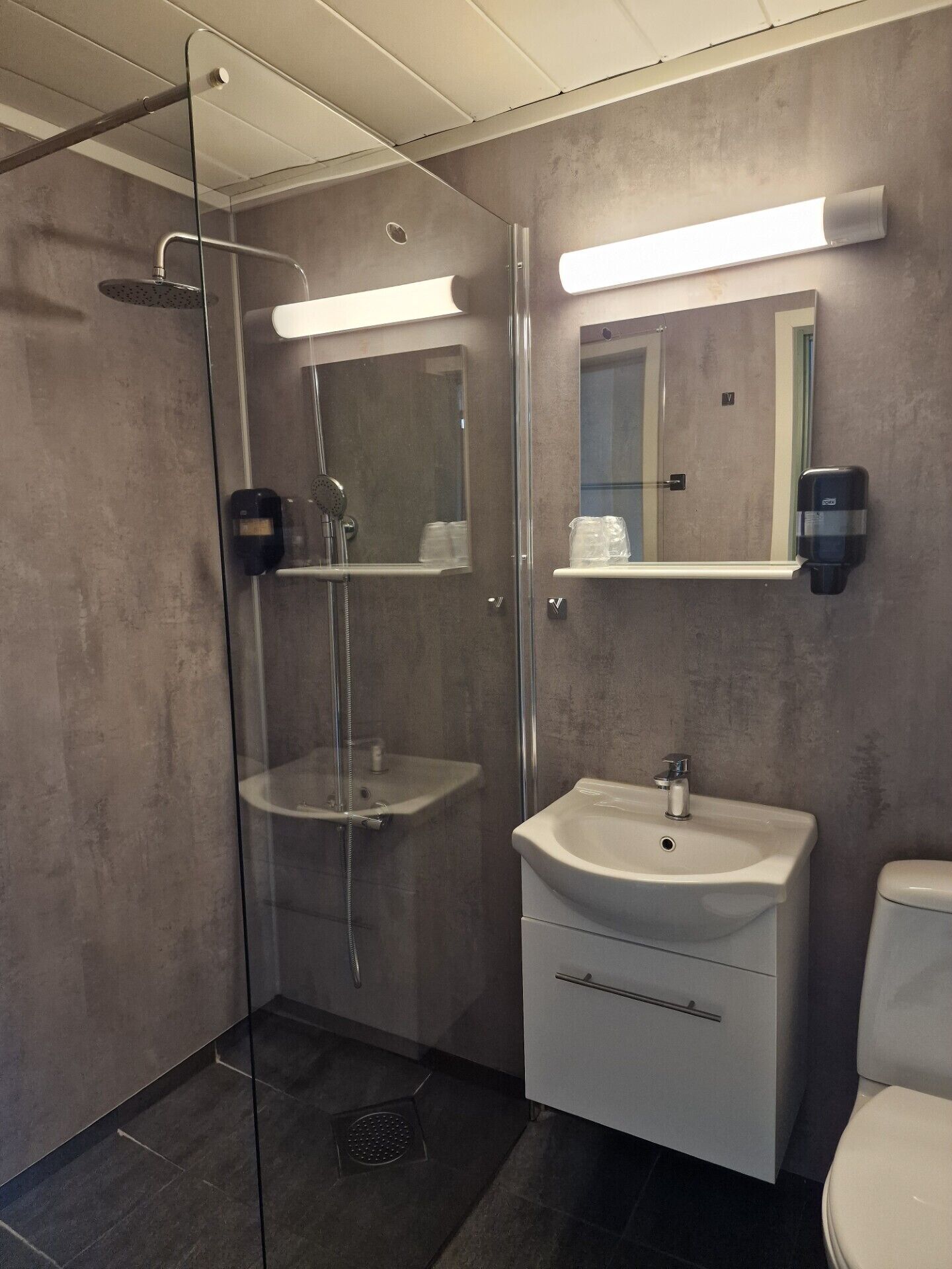 A modern bathroom with a glass-enclosed shower, a white sink, and a toilet.