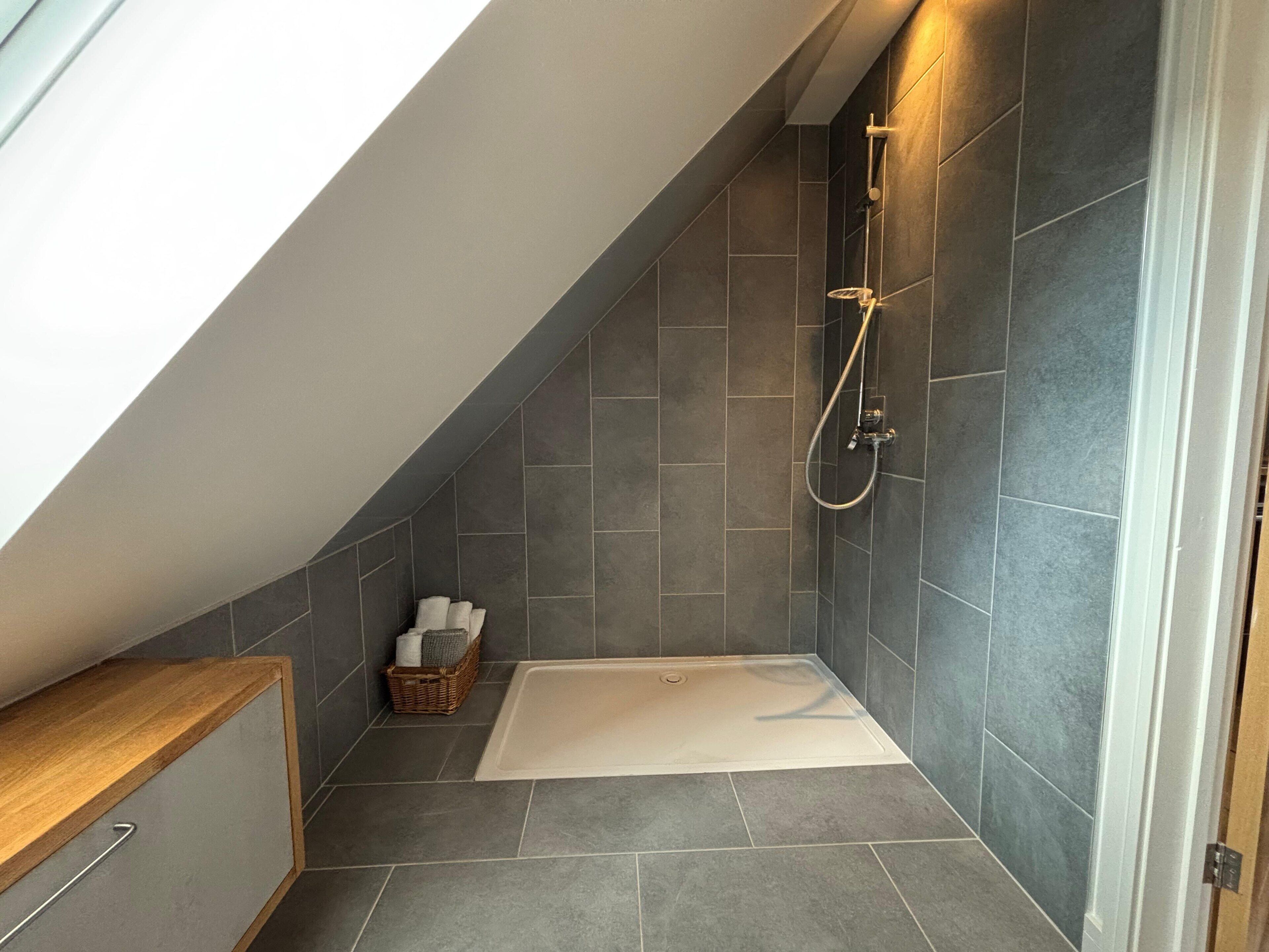 Shower, towels, toilet paper