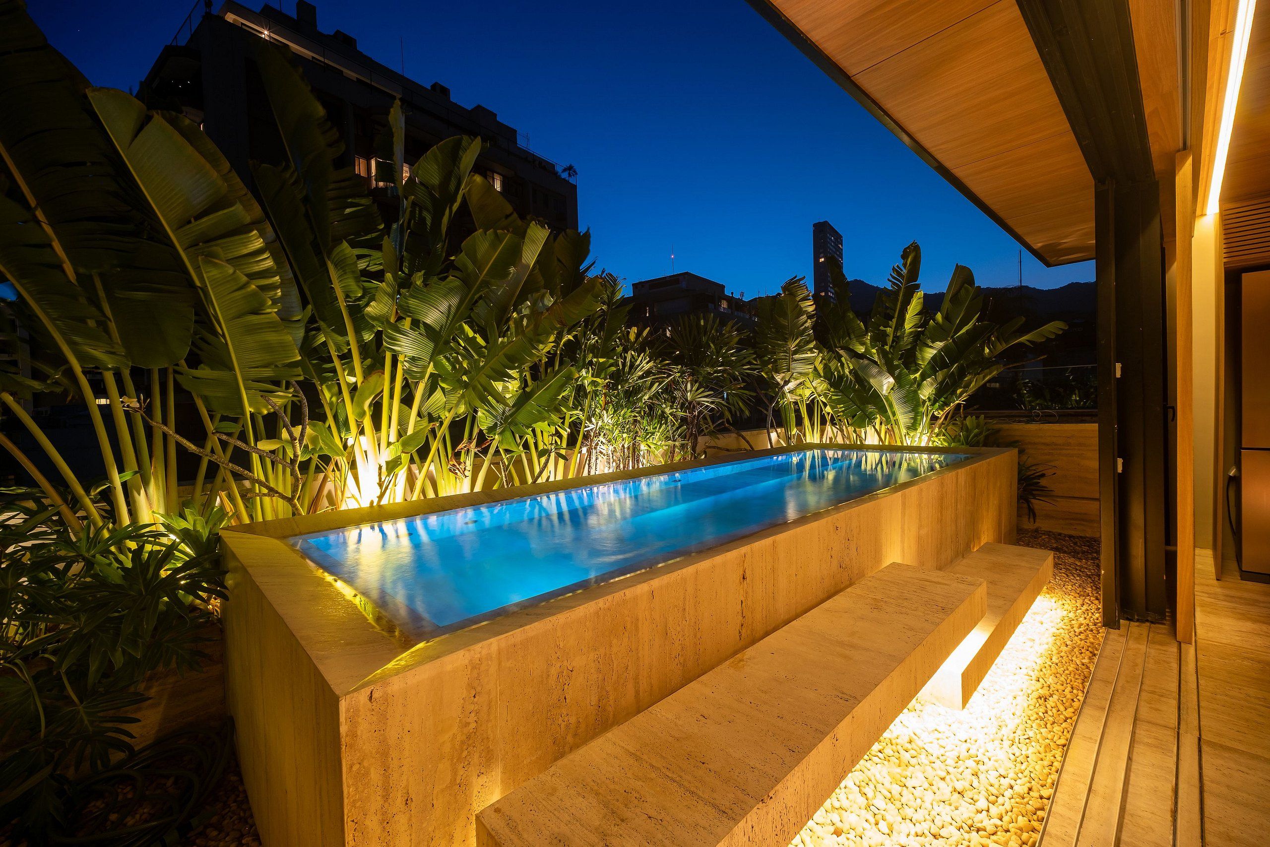 A rectangular swimming pool with a concrete edge, surrounded by tropical plants and a wooden deck.