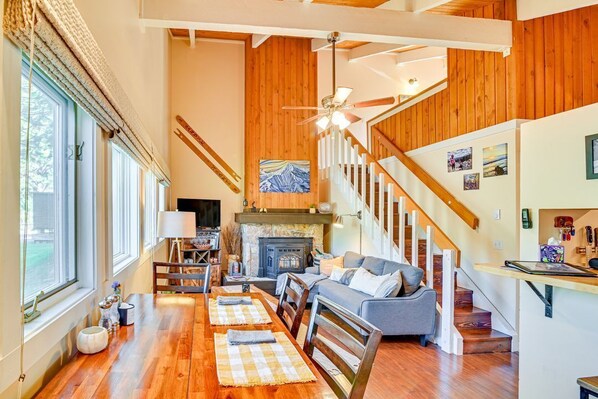 TV, fireplace, books