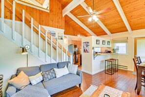 TV, fireplace, books