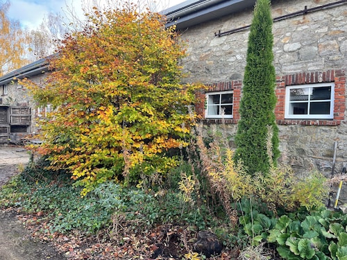 Les Pattes, in the heart of the High Fens.