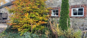 Les Pattes, in the heart of the High Fens.