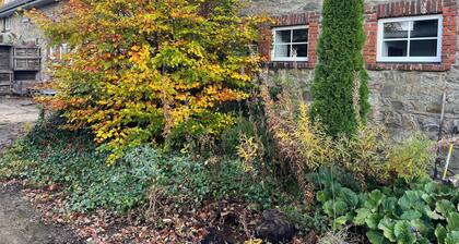 Les Pattes, in the heart of the High Fens.