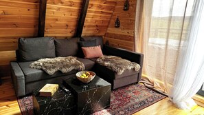 تلفزيون، مدفأة