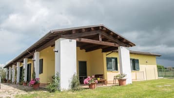 Esterni