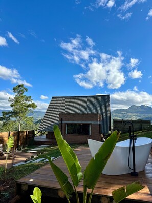 Executive Chalet, Mountain View | Living area | Flat-screen TV, fireplace